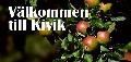 Destination Kivik på Turistmässan