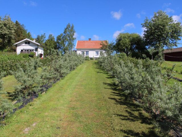 Hämmens Gård Bär & Boende