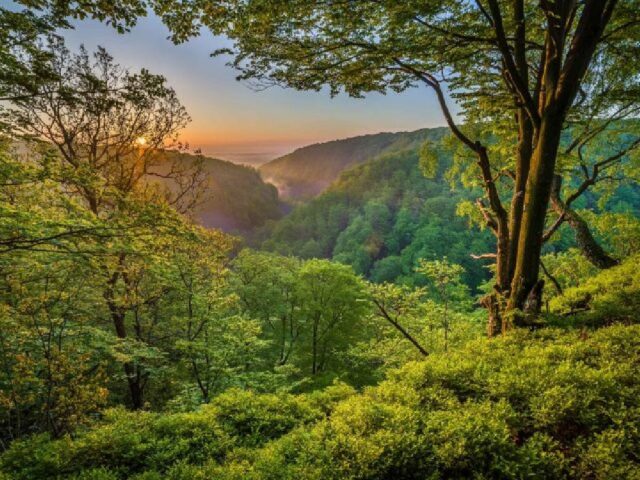 Söderåsens Nationalpark