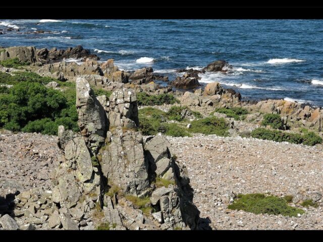 Hovs hallar på Bjärehalvön