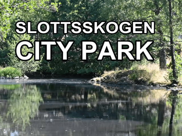 Slottsskogen i Göteborg